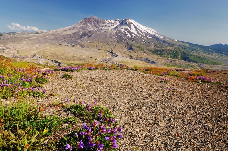 At the Foot of Mount St Helens